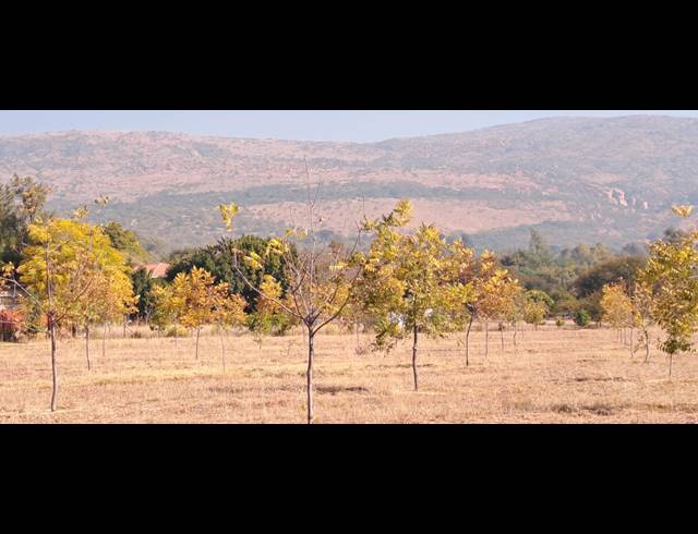 4.60HA SMALLHOLDING FOR SALE IN MODDERFONTEIN AH